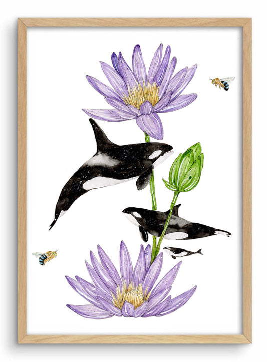 'Echoes of Awakening' Orca & Blue Lotus | Watercolour Art print