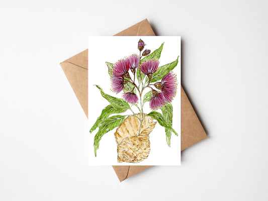 Pink Eucalyptus Greeting Card