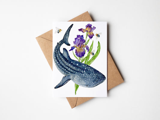 Whale Shark & Iris | Gift Card