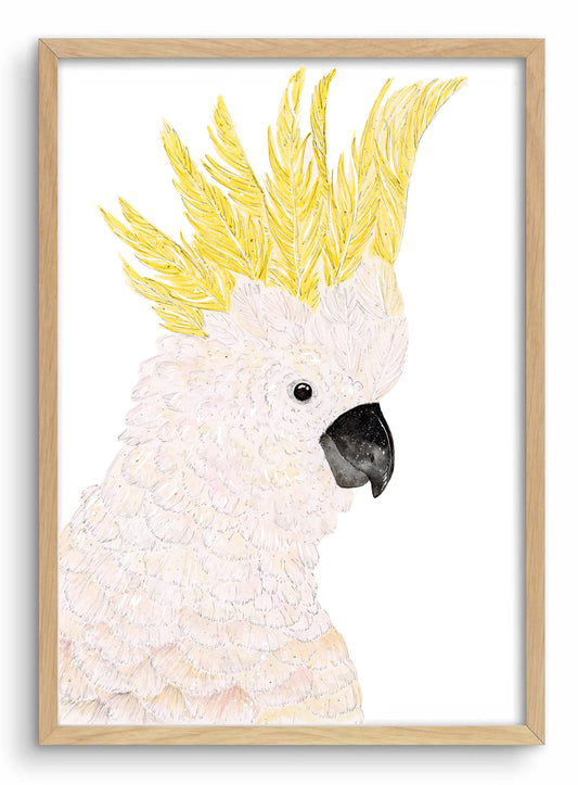 Sulfur crested cockatoo water colour art print, Australian bird